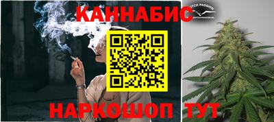 ECSTASY Новозыбков
