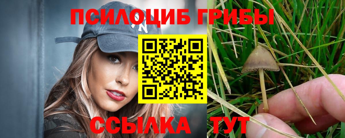 Галлюциногенные грибы мухоморы  Галлюциногенные грибы мицелий  Вход с VPN  дарнет шоп  Сланцы 